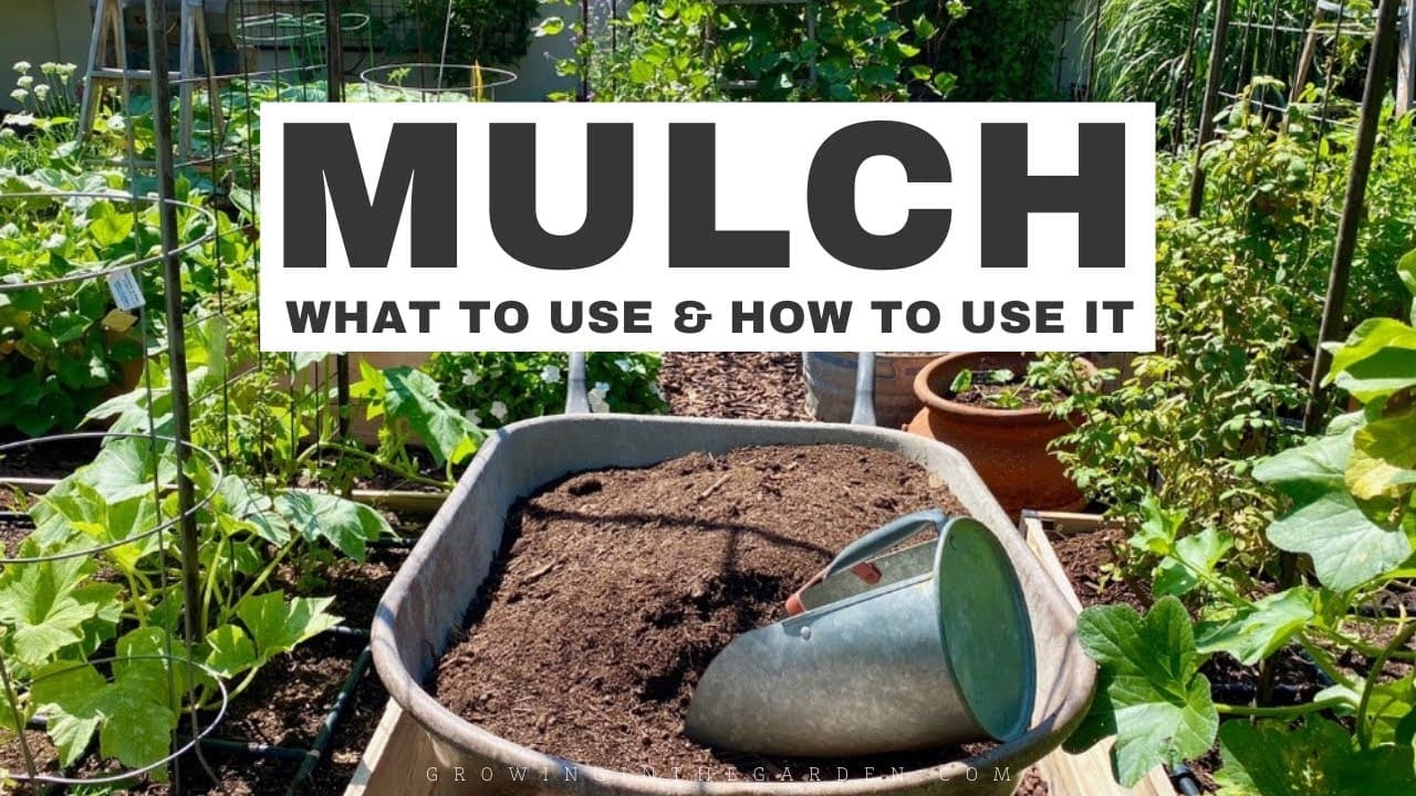 How to Mulch a Garden Bed (5 Mulch Types Compared)