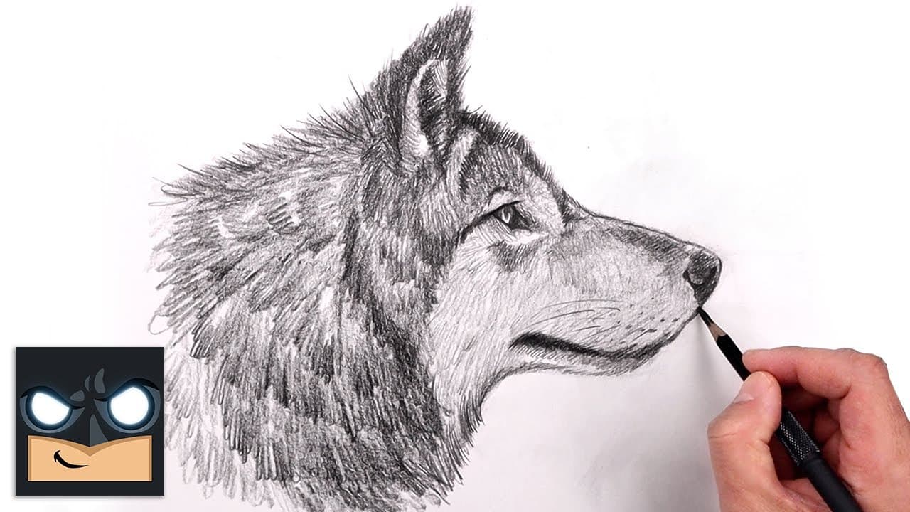 How to Draw a Wolf: 10-Step Beginner Pencil Tutorial
