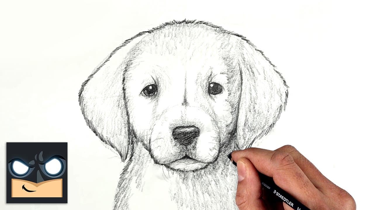 How to Draw a Dog - Step-by-Step Puppy Sketch