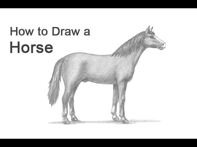 How to Draw a Horse (Step by Step Pencil Tutorial)