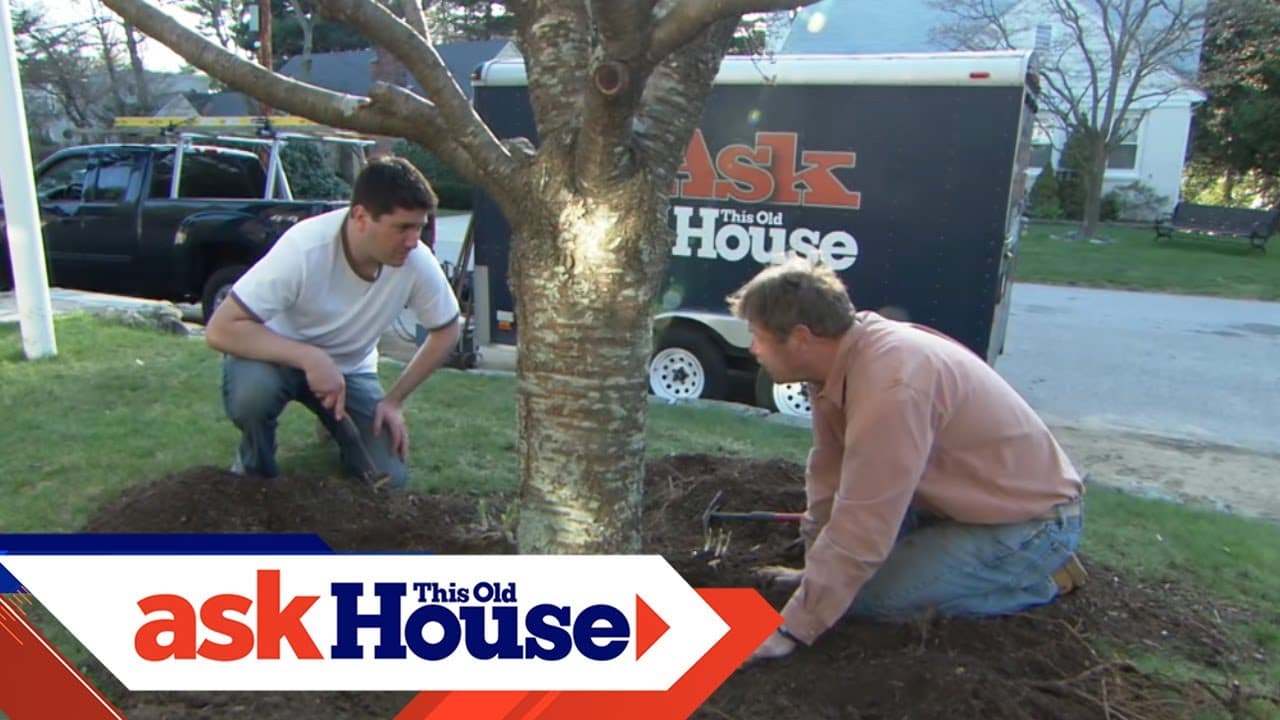 How to Mulch a Flower Bed