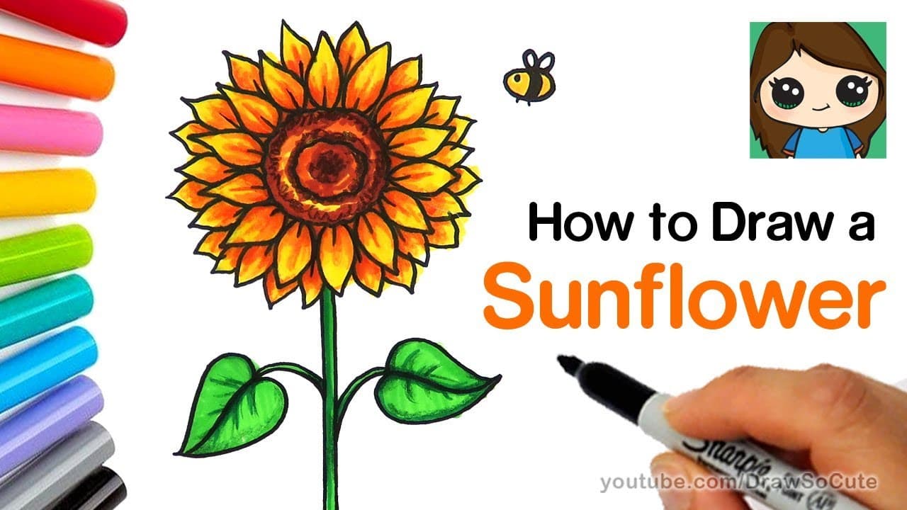 How to Draw a Sunflower: Easy & Realistic Step by Step