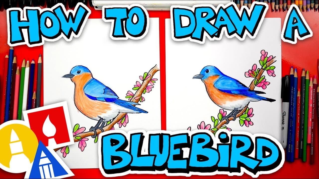 How to Draw a Bird: Step-by-Step Bluebird Drawing for Beginners