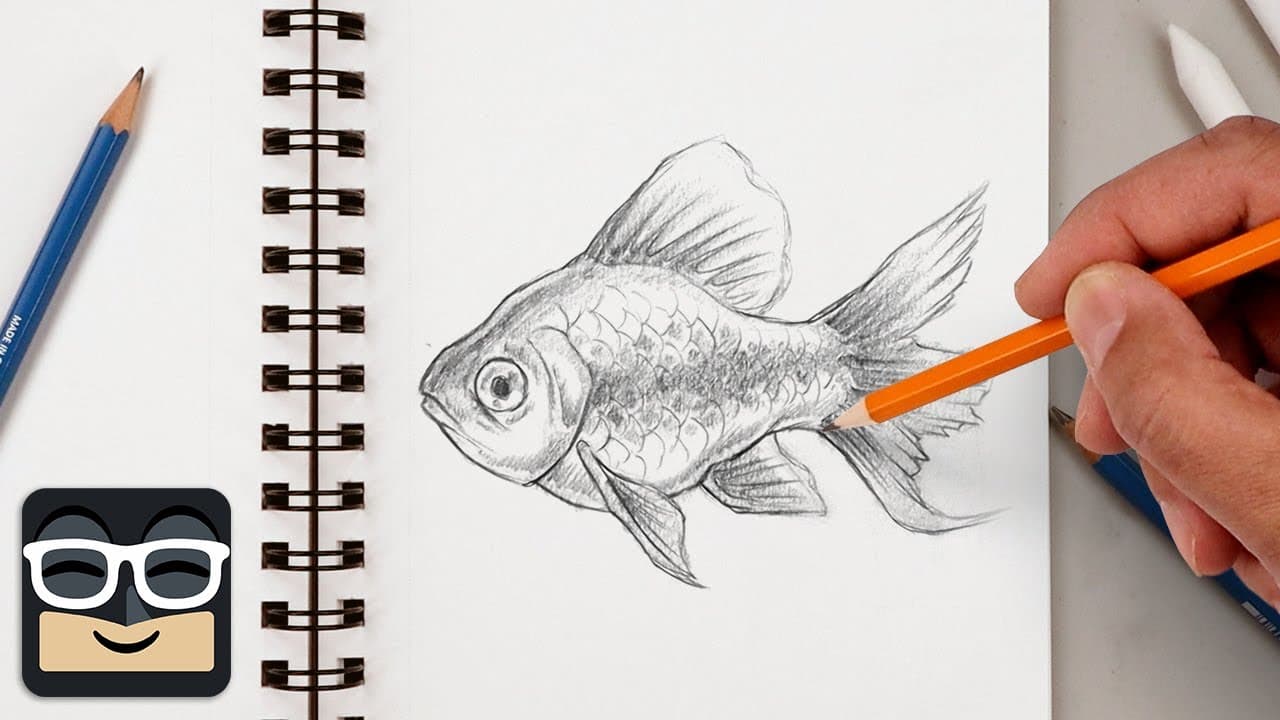 How to Draw a Fish (Step by Step Goldfish Tutorial)
