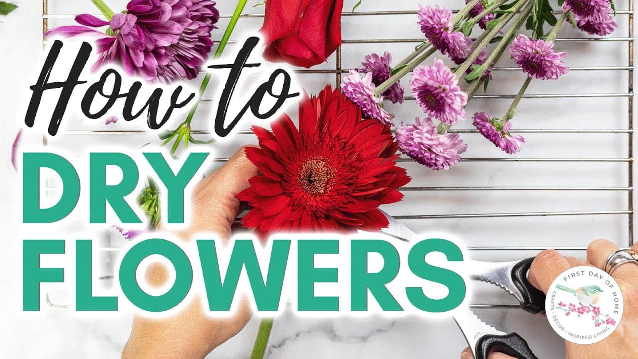 How to Dry Flowers - 5 Methods Compared with Results