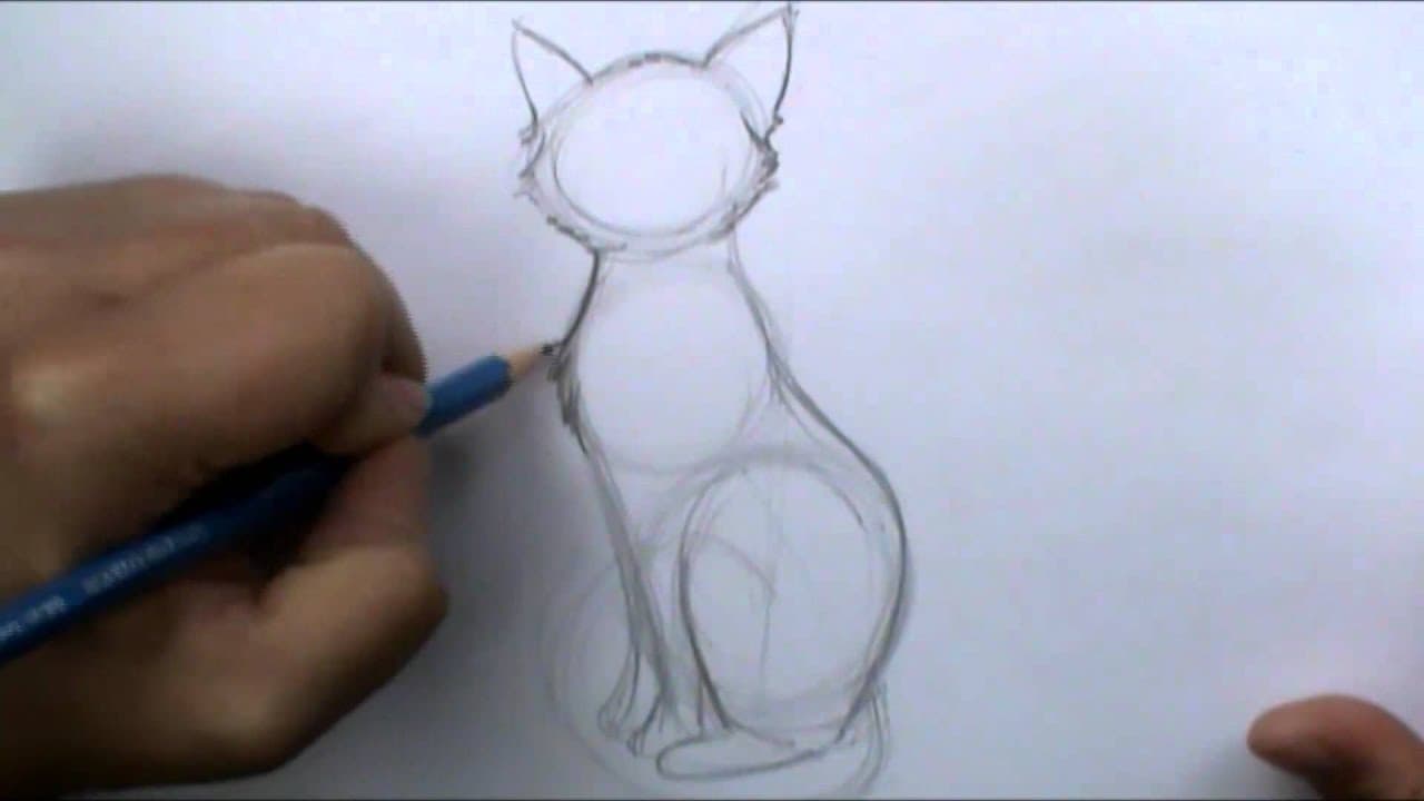 How to Draw a Cat - Gesture-Drawn Sitting Cat in 7 Steps