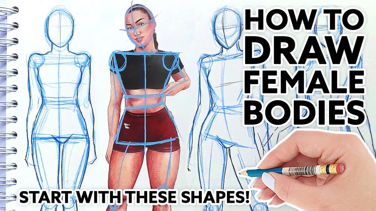 How to Draw the Female Figure: 7-Step Beginner Guide
