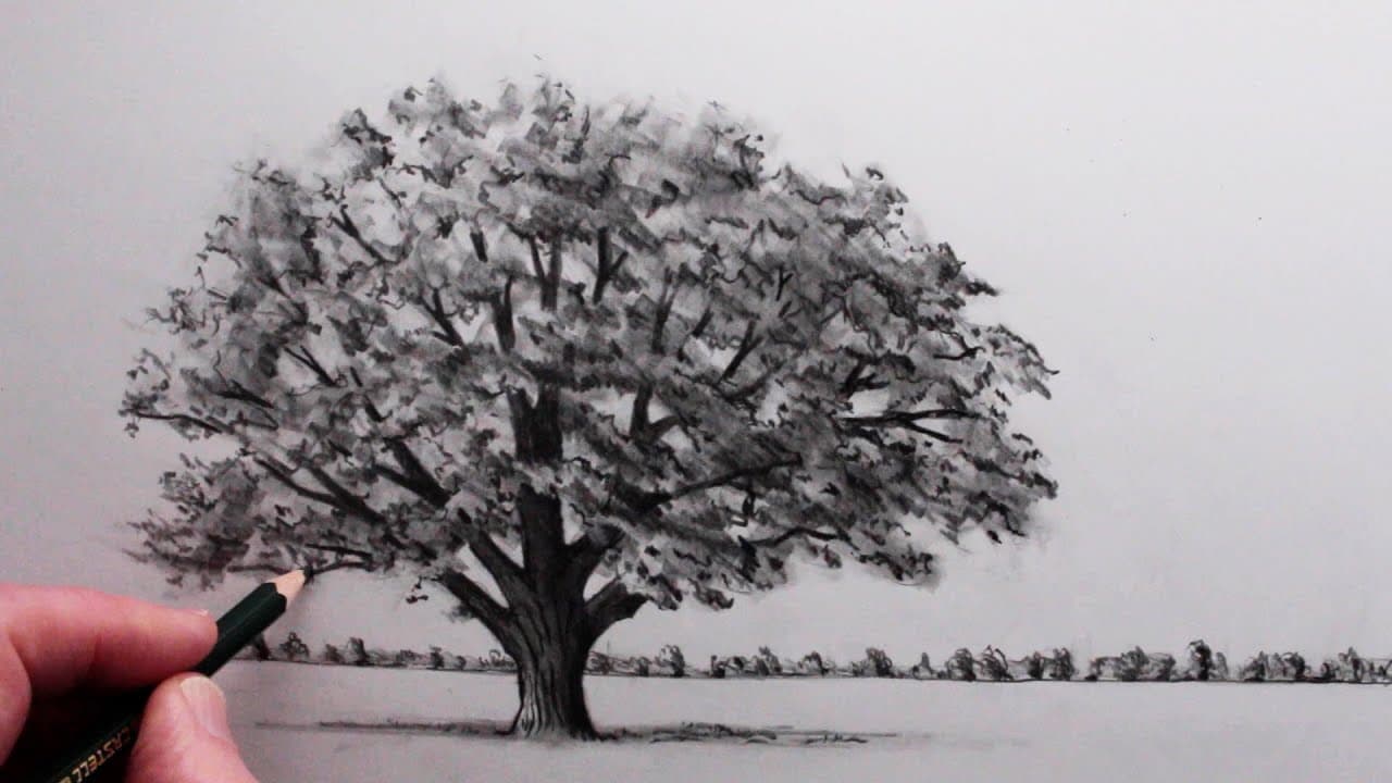 How to Draw a Tree: Step by Step