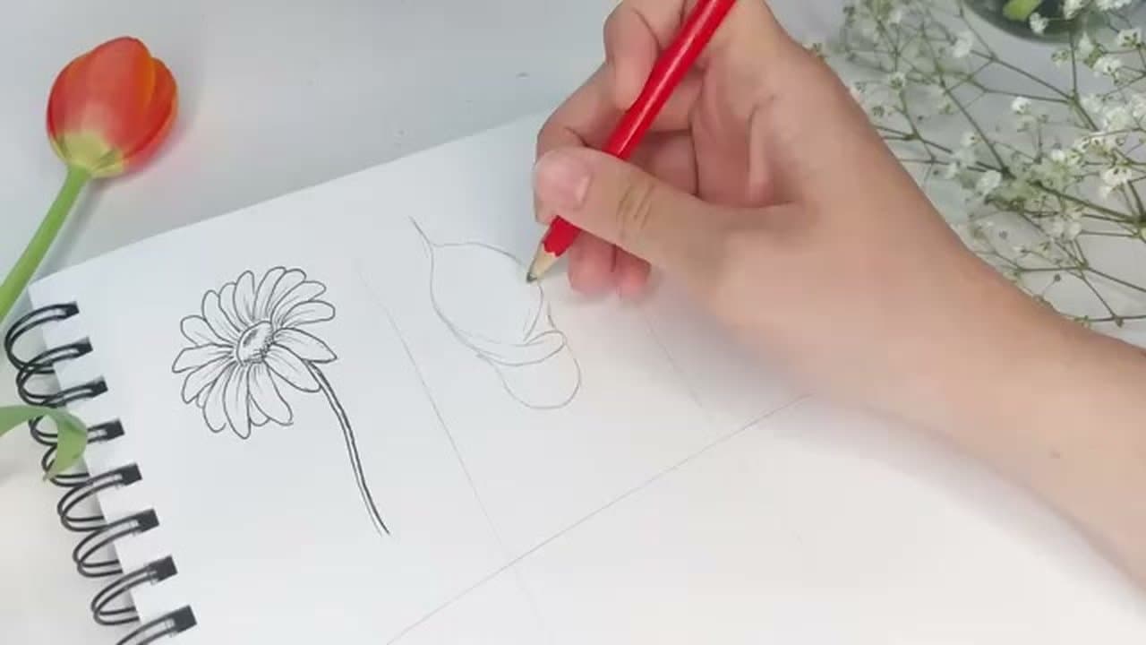 Step 3: Step 3: Draw a calla lily