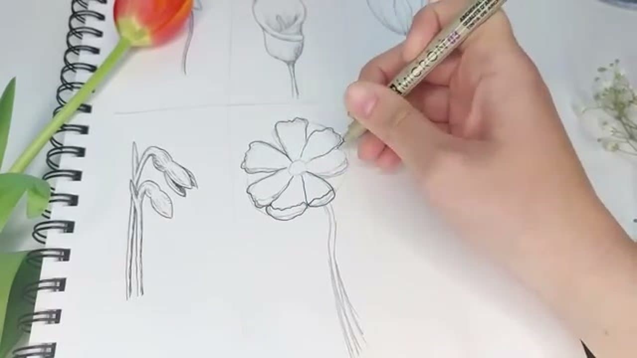 Step 6: Step 6: Draw a cosmos