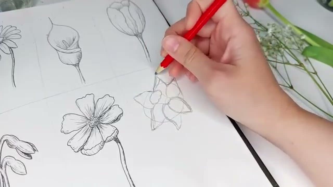 How to Draw Flowers