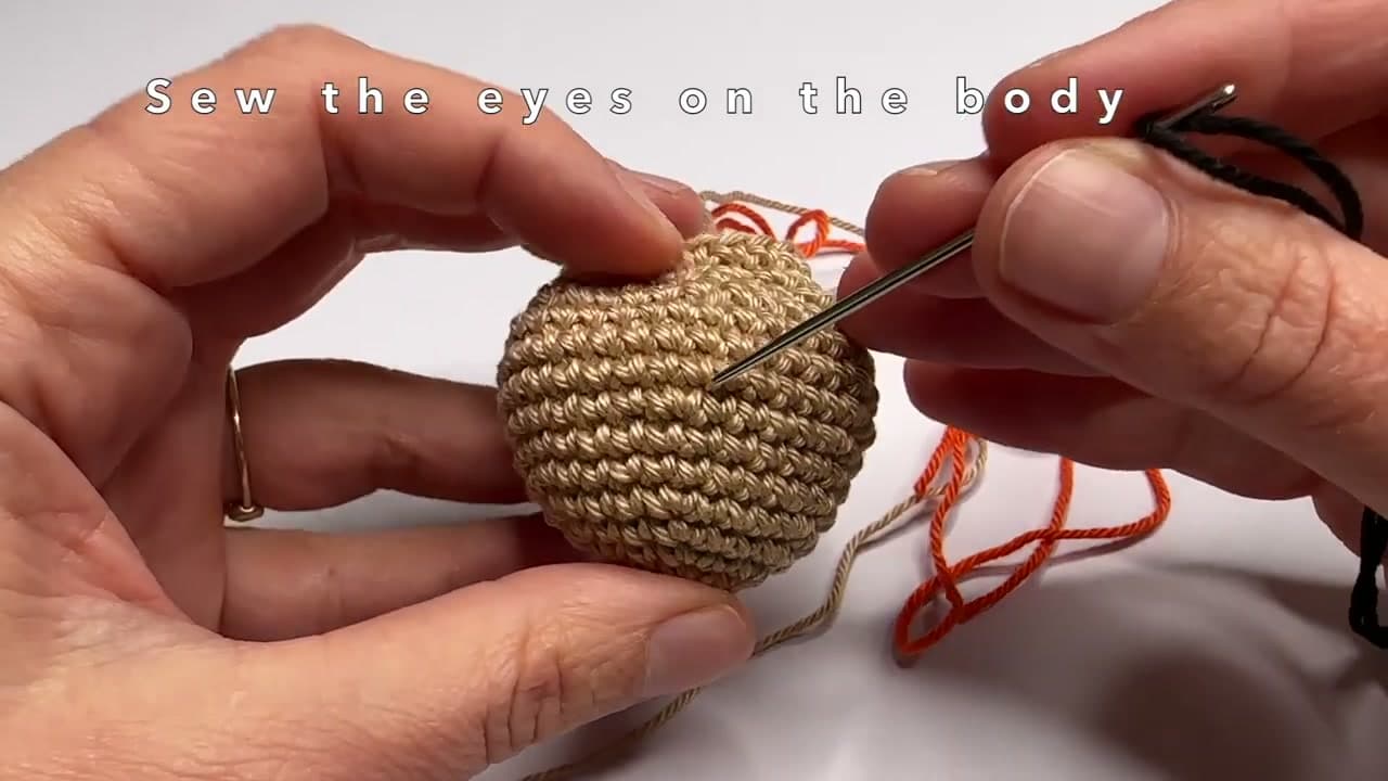 Step 3: Step 3: Embroider the Eyes