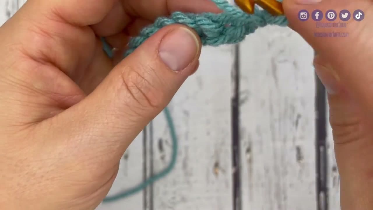 Step 3: Insert the Hook Into the First Stitch - How to Slip Stitch in Crochet
