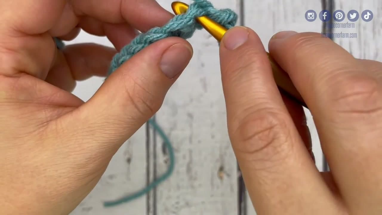 Step 5: Pull Through Both Loops in One Move - How to Slip Stitch in Crochet