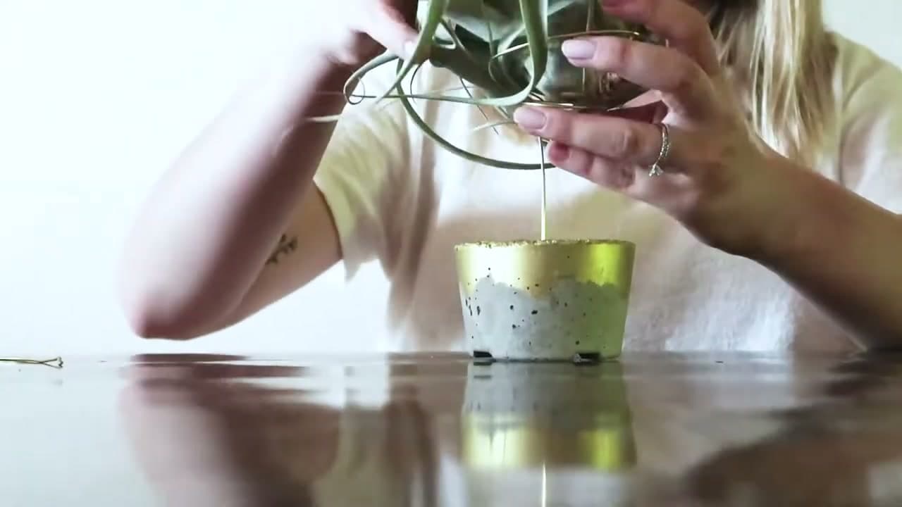 The finished result: How to Make a Concrete Air Plant Holder