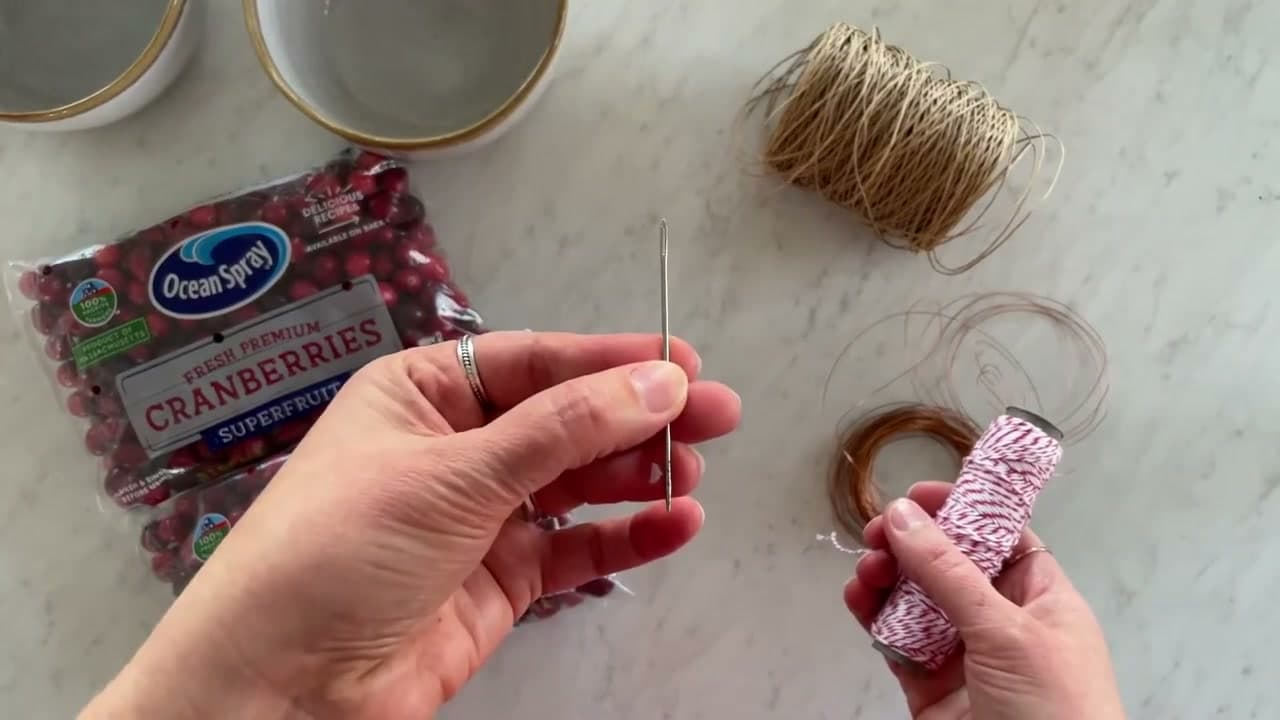 Step 1: Lay Out Cranberries, a Large-Eye Needle and Your Stringing Material - How to Make a Christmas Garland