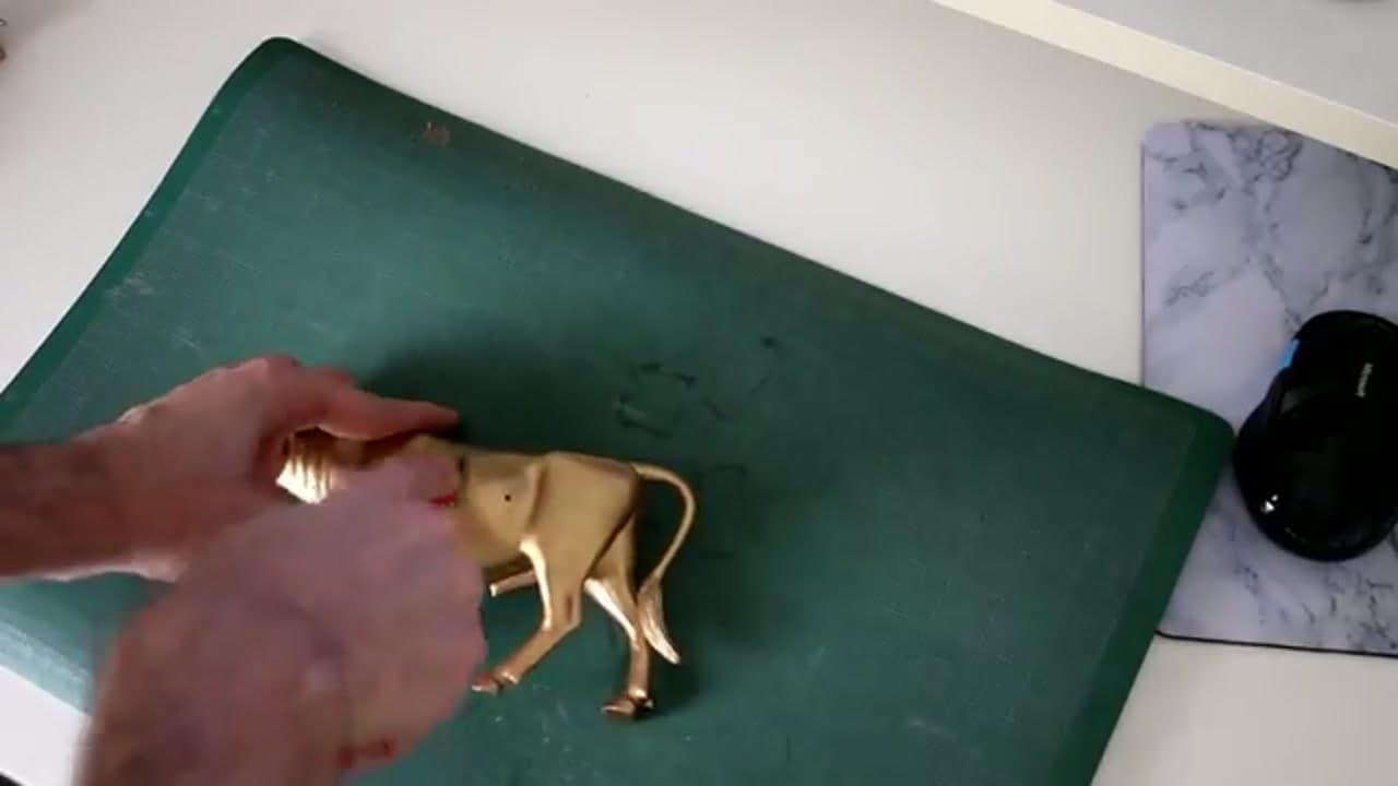 Step 2: Step 2: Cut Each Animal in Half