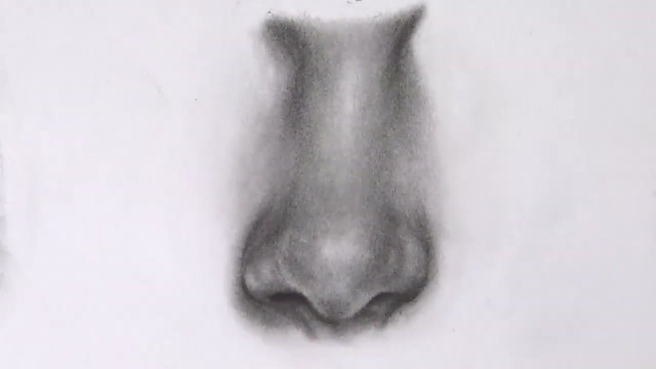 How to Draw a Nose - Realistic Graphite Do's and Don'ts