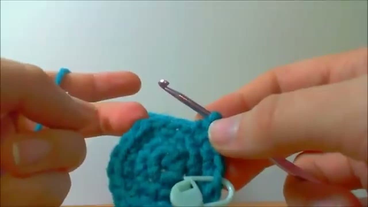 Step 3: Step 3: Continue Increasing to 24 Stitches
