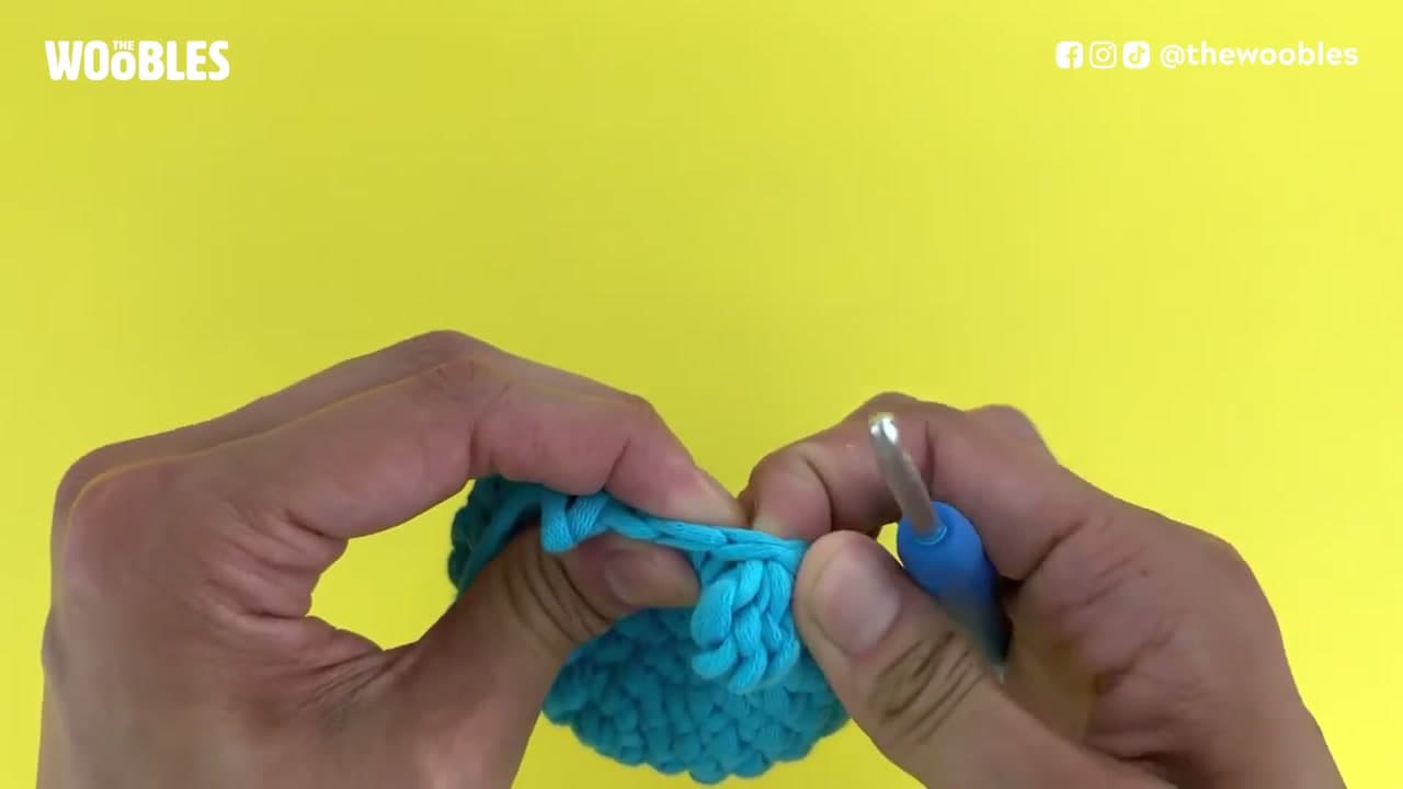The finished result: How to Crochet the Bobble Stitch