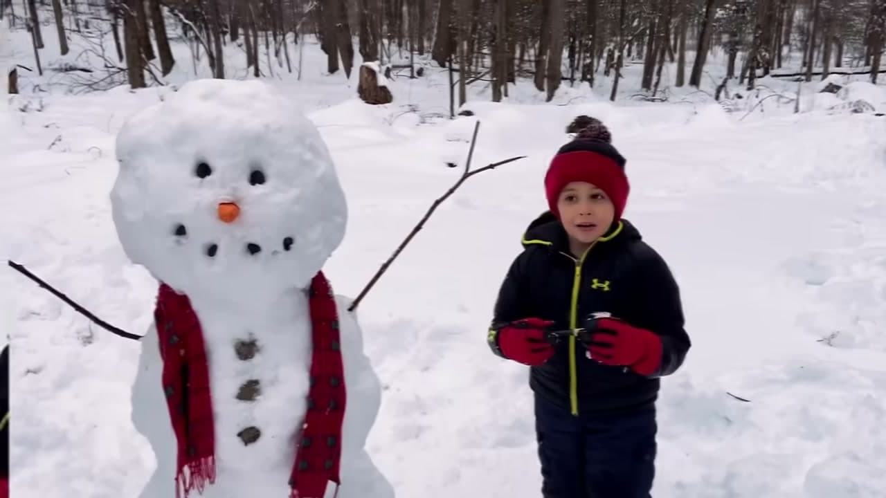 Step 8: Add the Carrot Nose, Stone Buttons and a Scarf - How to Make a Snowman