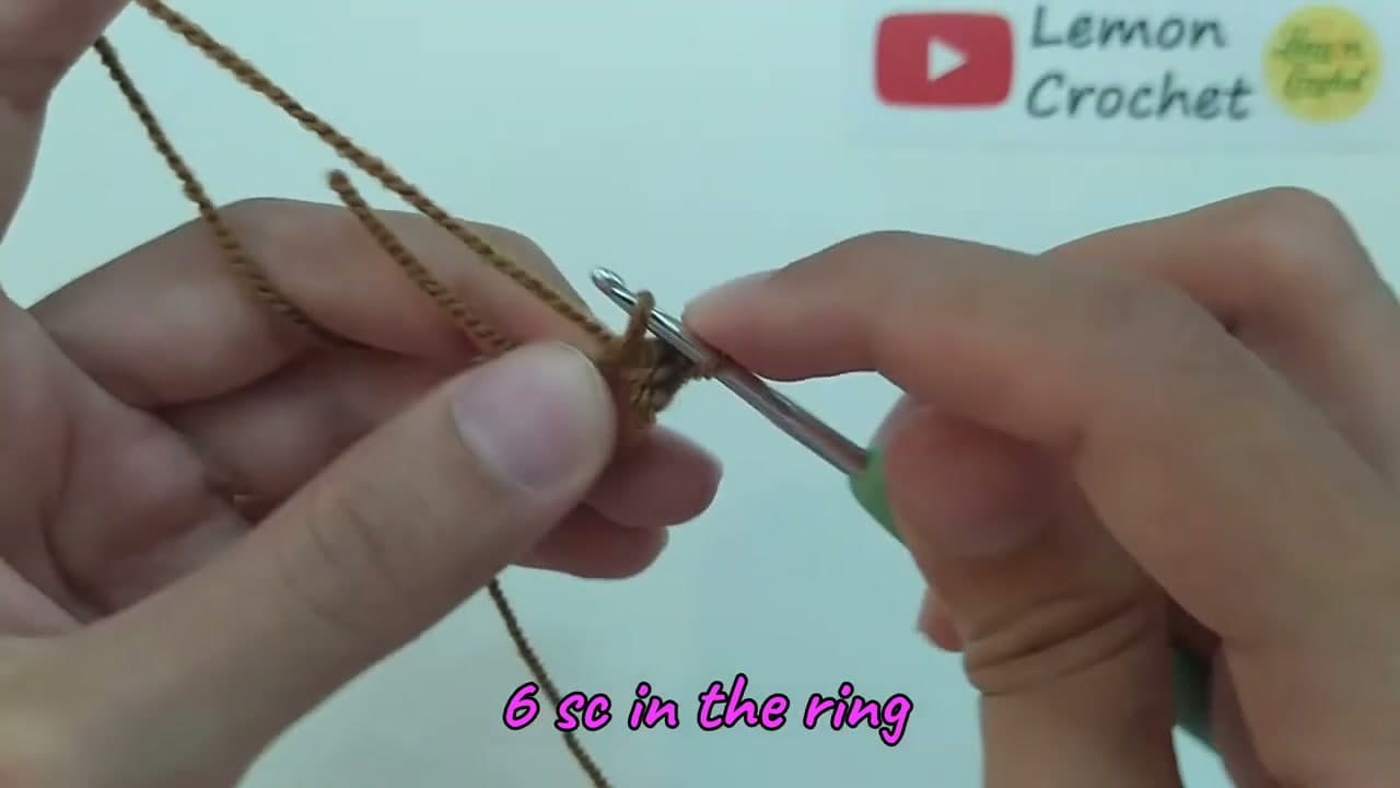 Step 1: Step 1: Start the Head with a Magic Ring