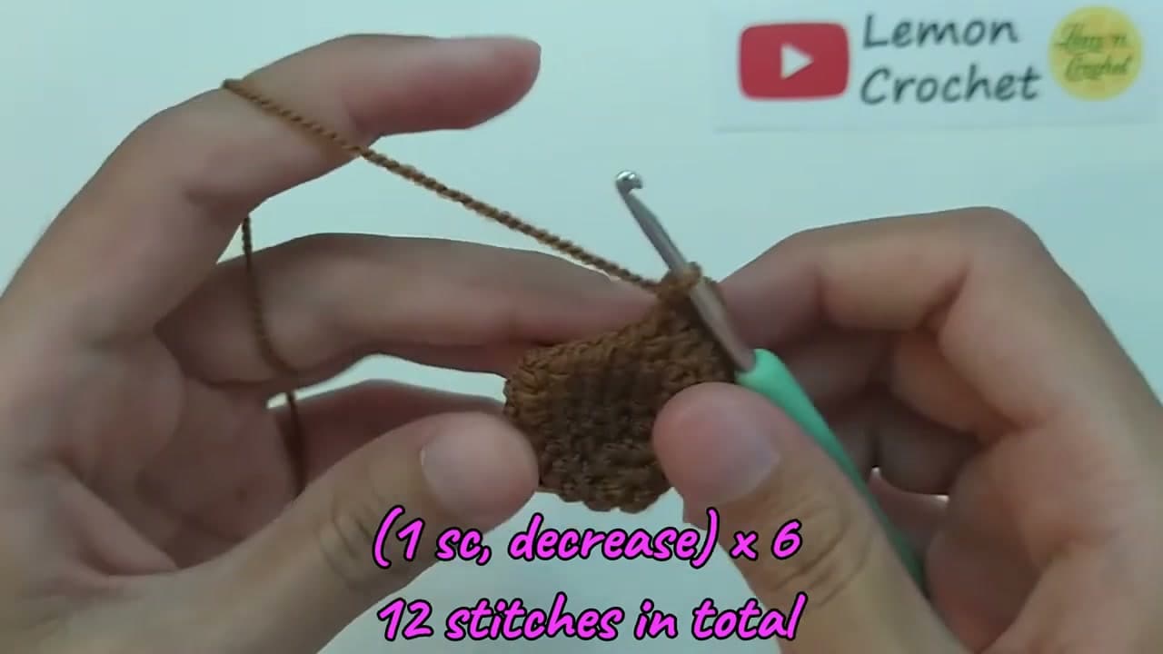 Step 3: Step 3: Crochet the Body the Same Way