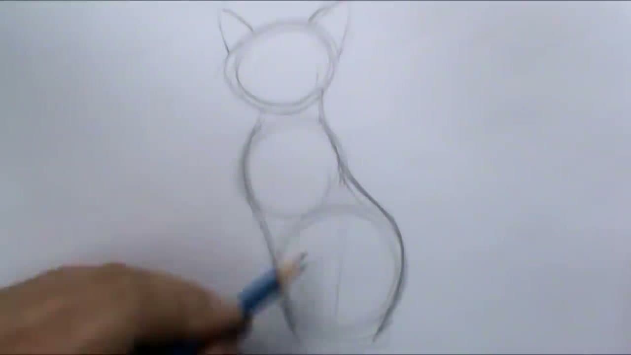 Step 4: Step 4: Define the Chest, Hind Leg, and Front Paws