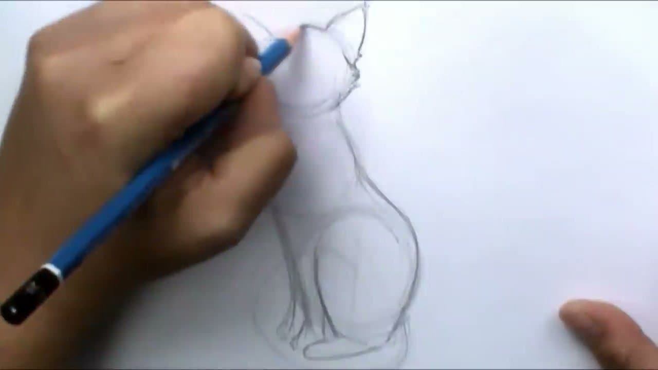 Step 6: Step 6: Outline With Little Fur Tufts at Direction Changes