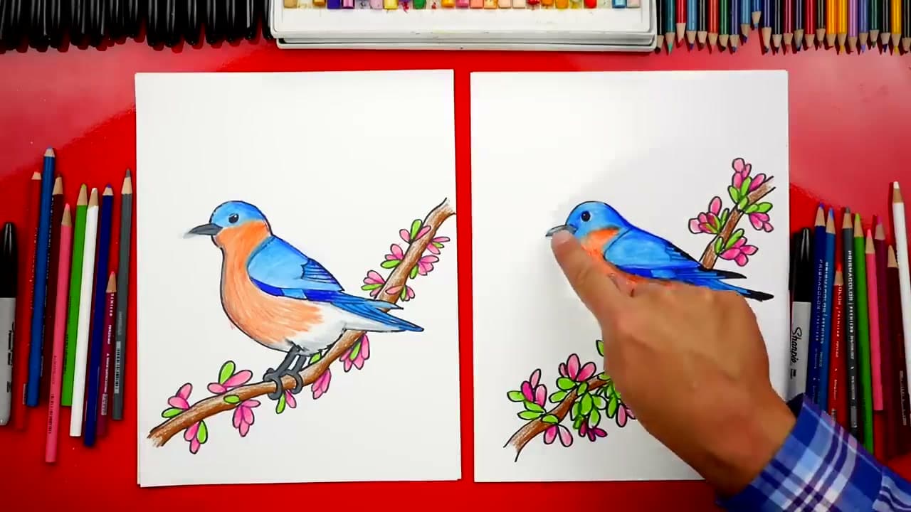 The finished result: How to Draw a Bird: Step-by-Step Bluebird Drawing for Beginners