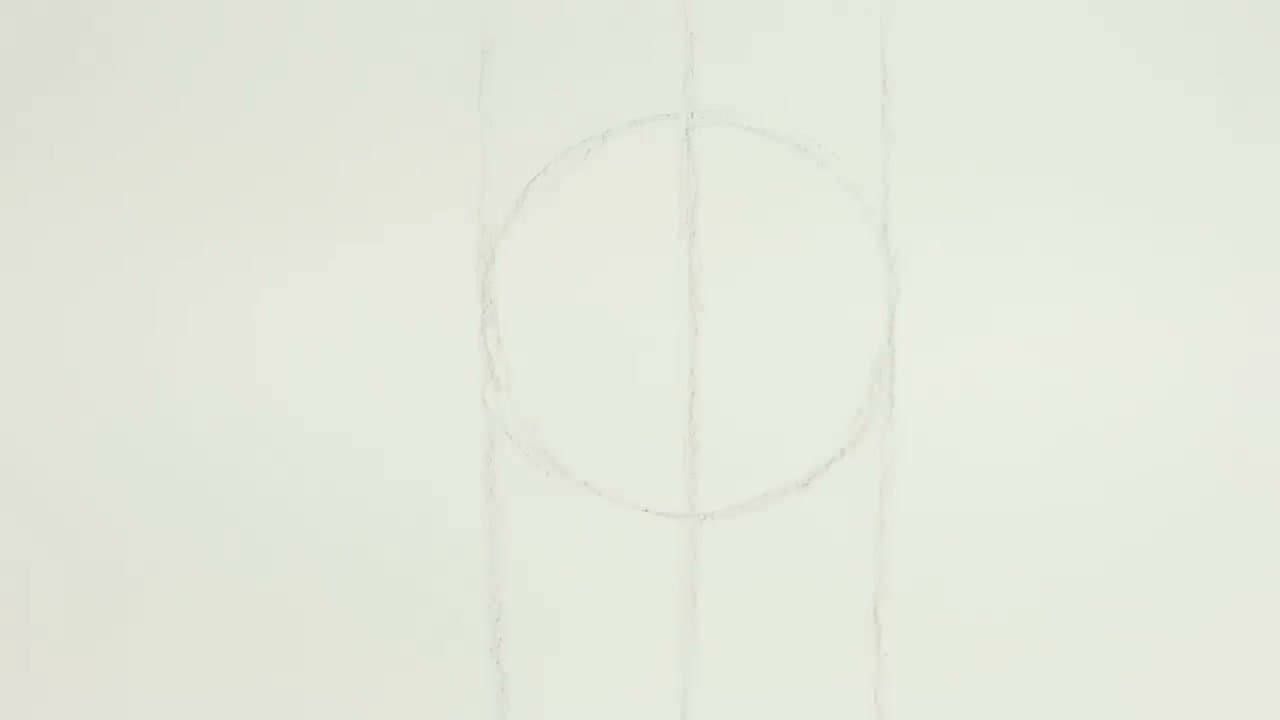 Step 2: Step 2: Add Vertical and Horizontal Guidelines