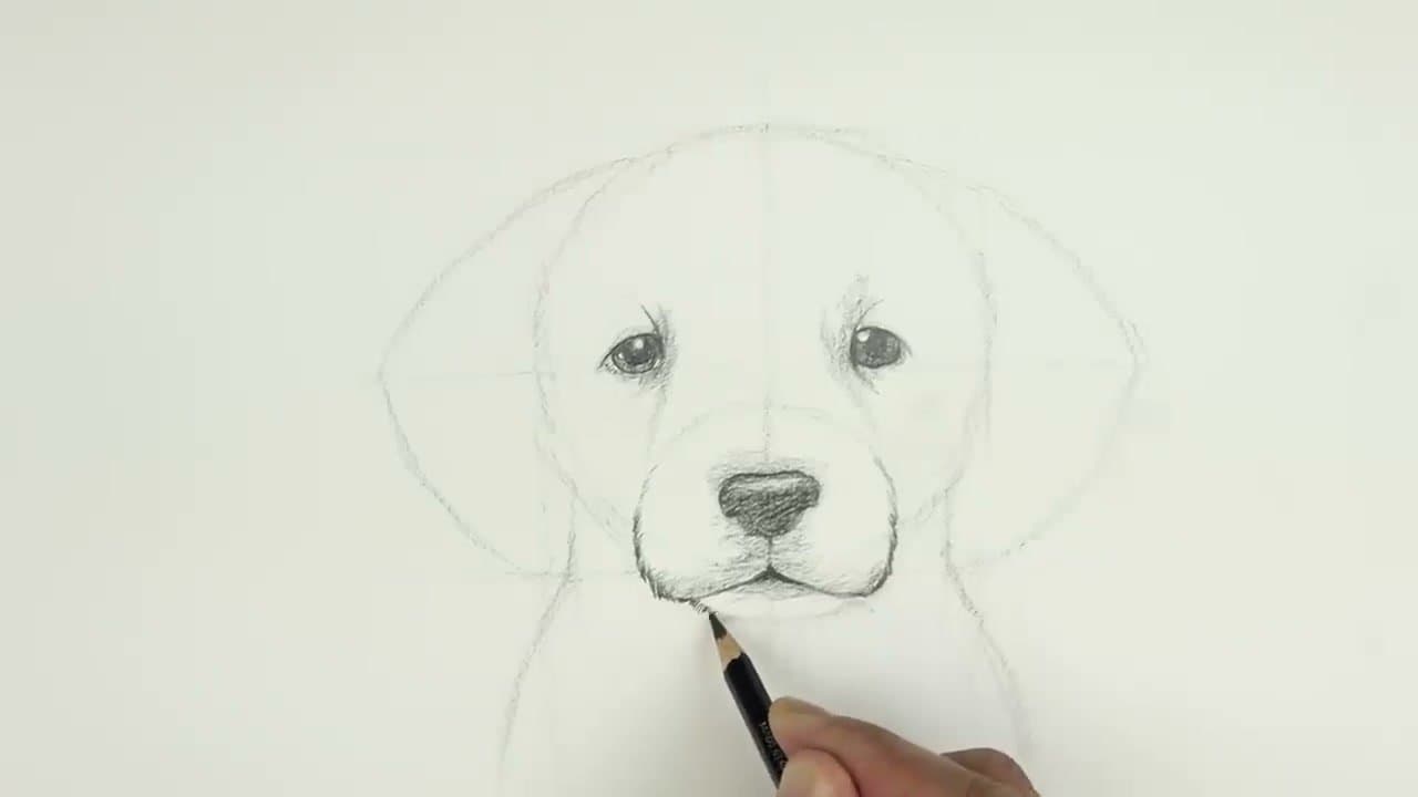 Step 7: Step 7: Add Fur Texture and Final Shading