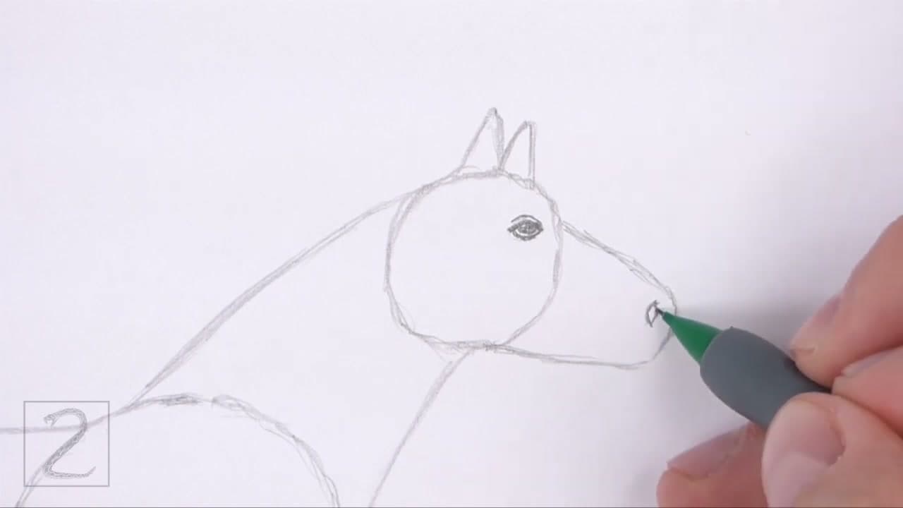 Step 4: Step 4: Draw the Eye, Muzzle Details, and Ears