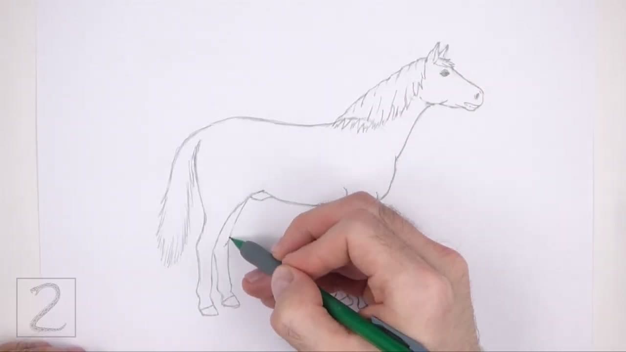 Step 6: Step 6: Finalize Legs, Body Outline, and Tail, Then Erase Guides