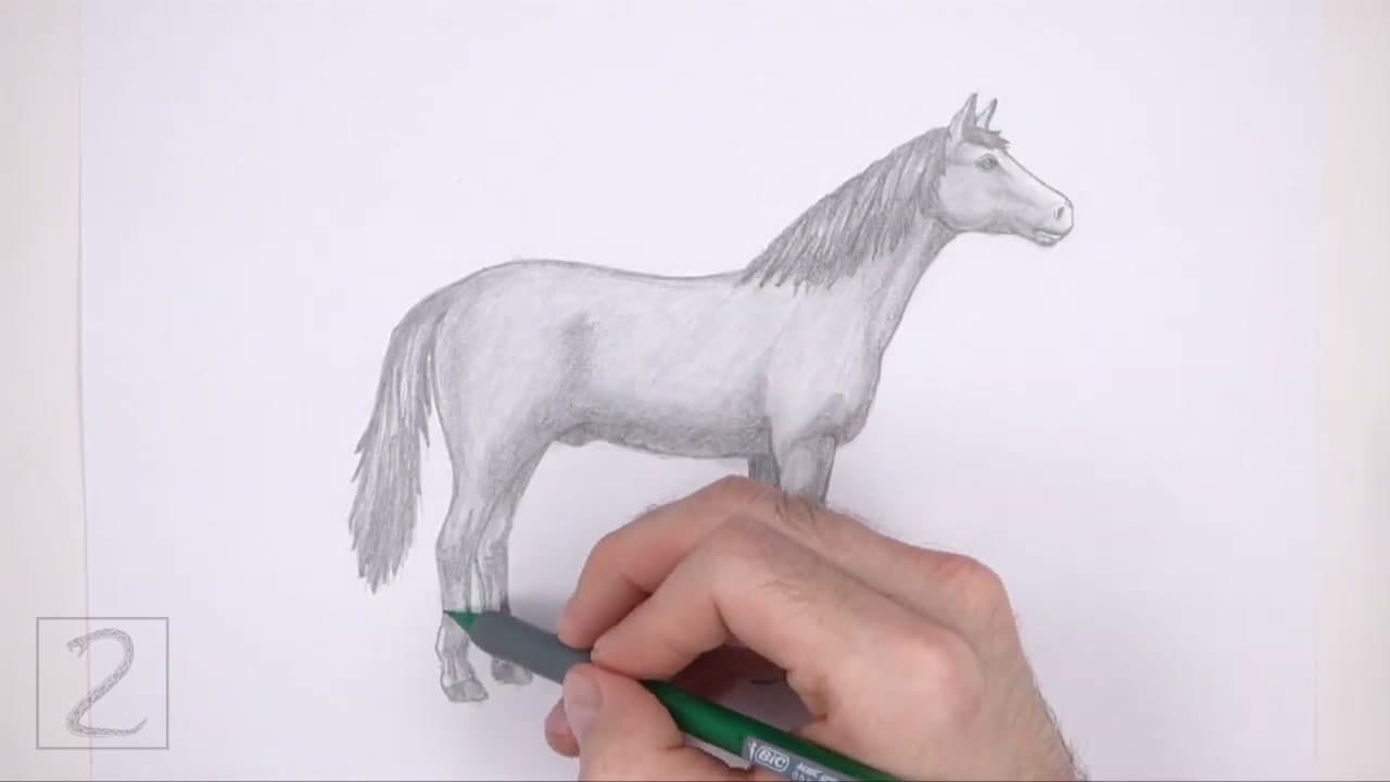 The finished result: How to Draw a Horse (Step by Step Pencil Tutorial)
