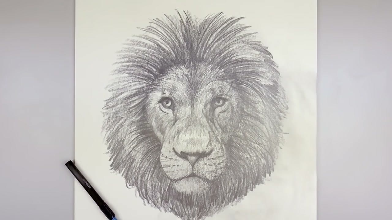 How to Draw a Lion - Pencil Portrait in 8 Steps