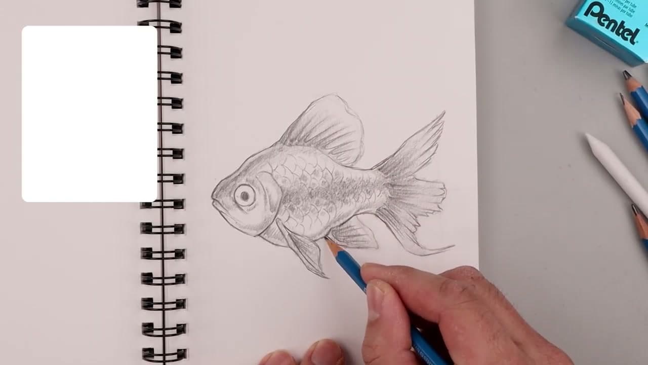 The finished result: How to Draw a Fish (Step by Step Goldfish Tutorial)