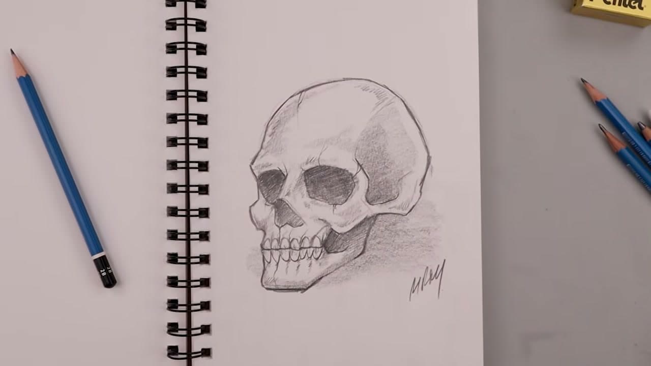 How to Draw a Skull - Realistic Pencil Sketch in 8 Steps