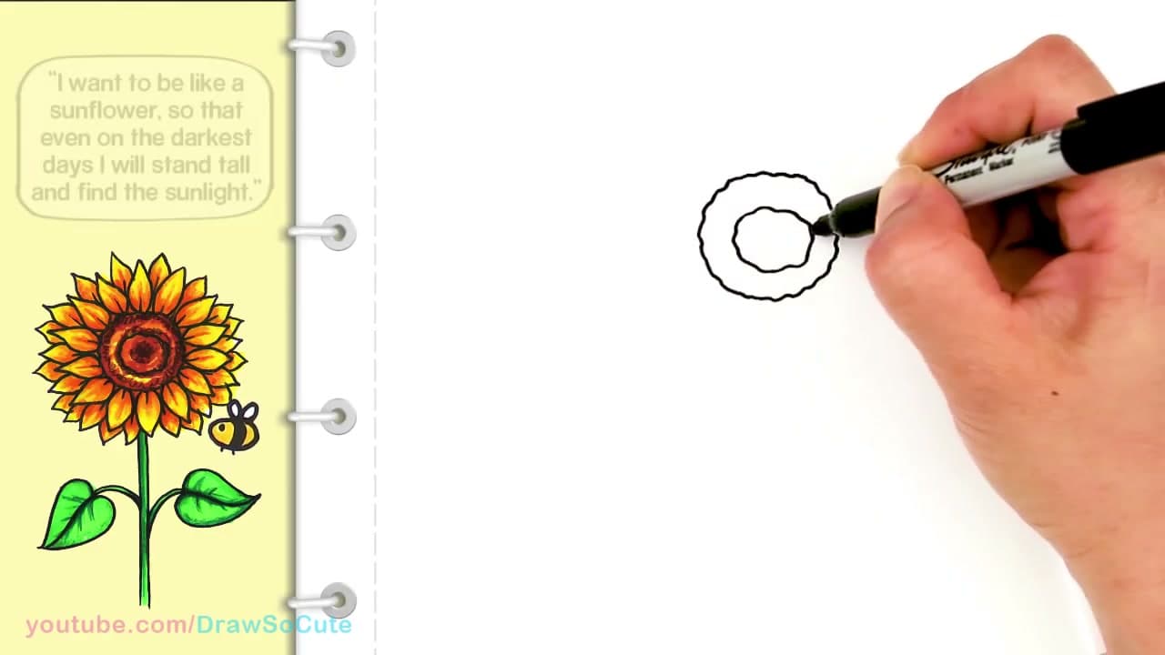 Step 1: Draw the Center Disc with Two Wobbly Circles - How to Draw a Sunflower: Easy & Realistic Step by Step