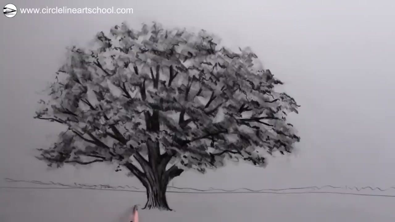 The finished result: How to Draw a Tree: Step by Step