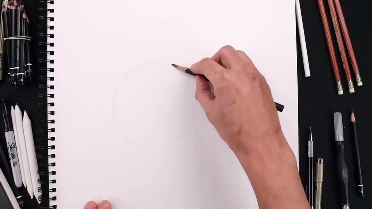 Step 1: Step 1: Sketch the Head Circle