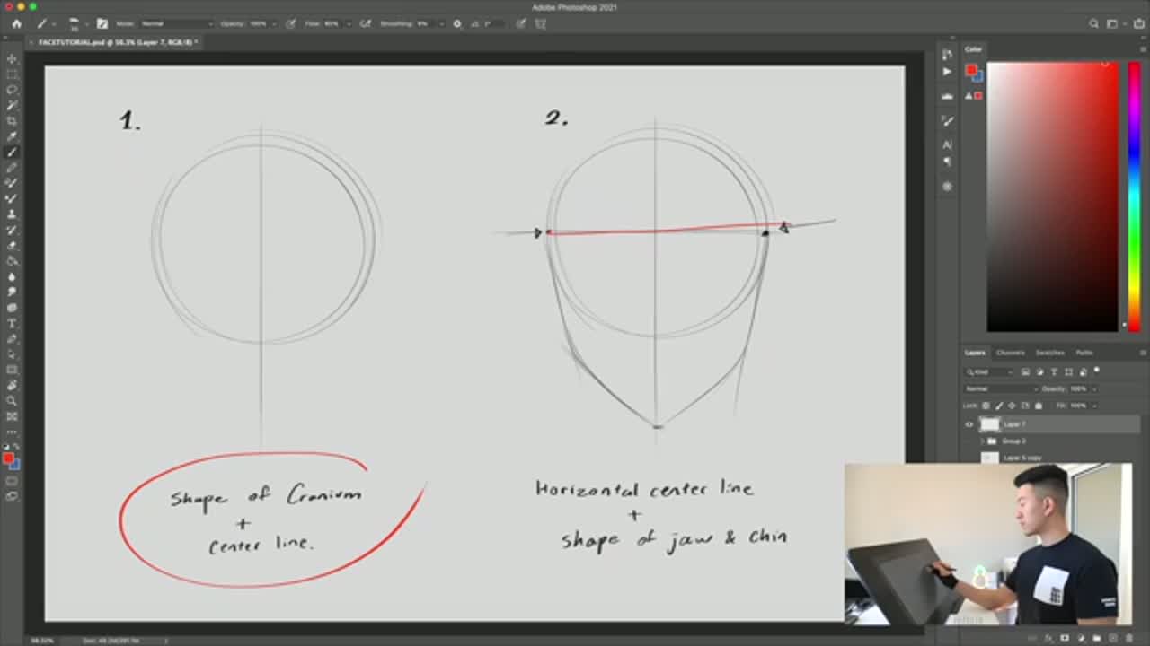 Step 1: Step 1: Draw the Cranium and Center Line