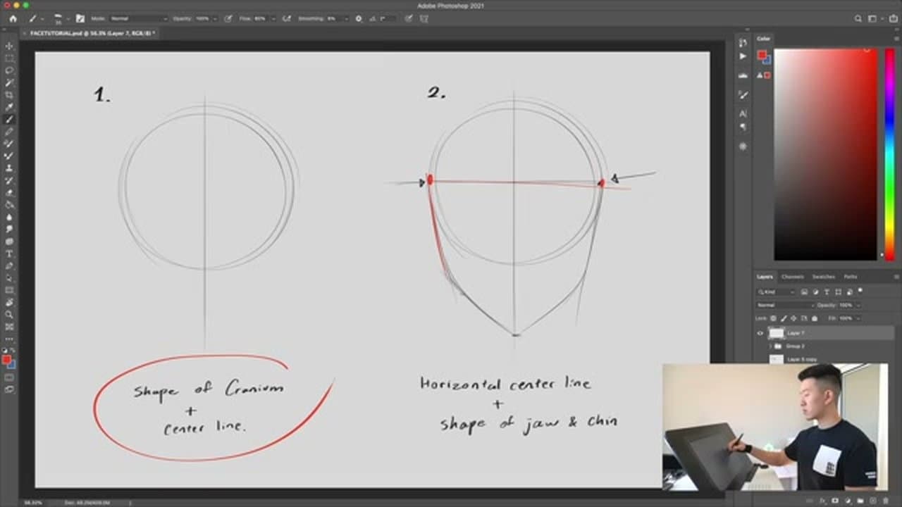 Step 2: Step 2: Add the Jaw and Bring the Chin to a Point