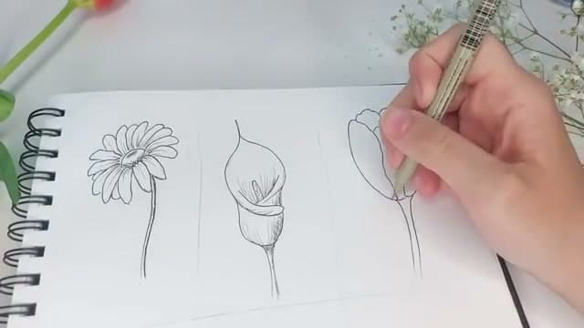 Step 4: Step 4: Draw a tulip