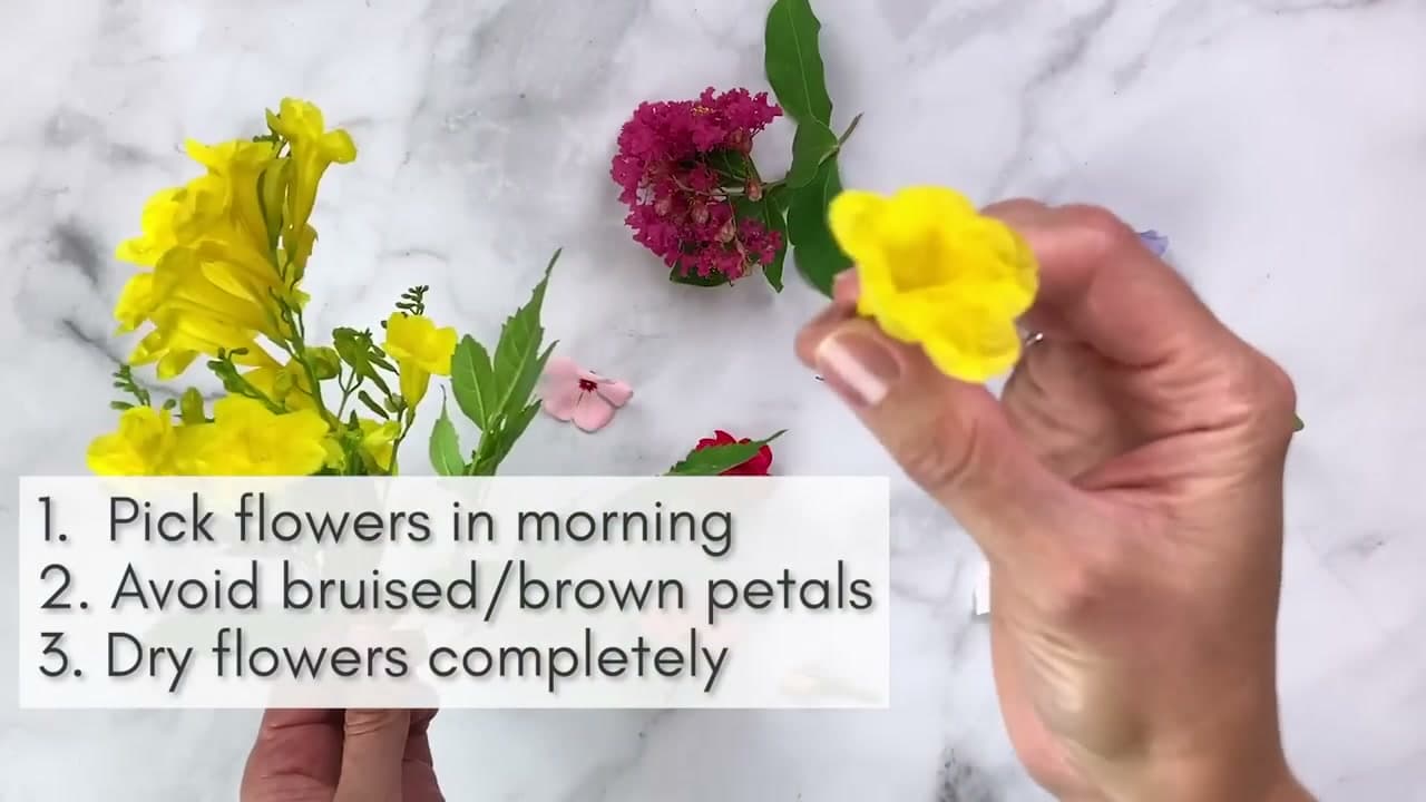 Step 1: Step 1: Pick Fresh Flowers and Prep Them for Drying