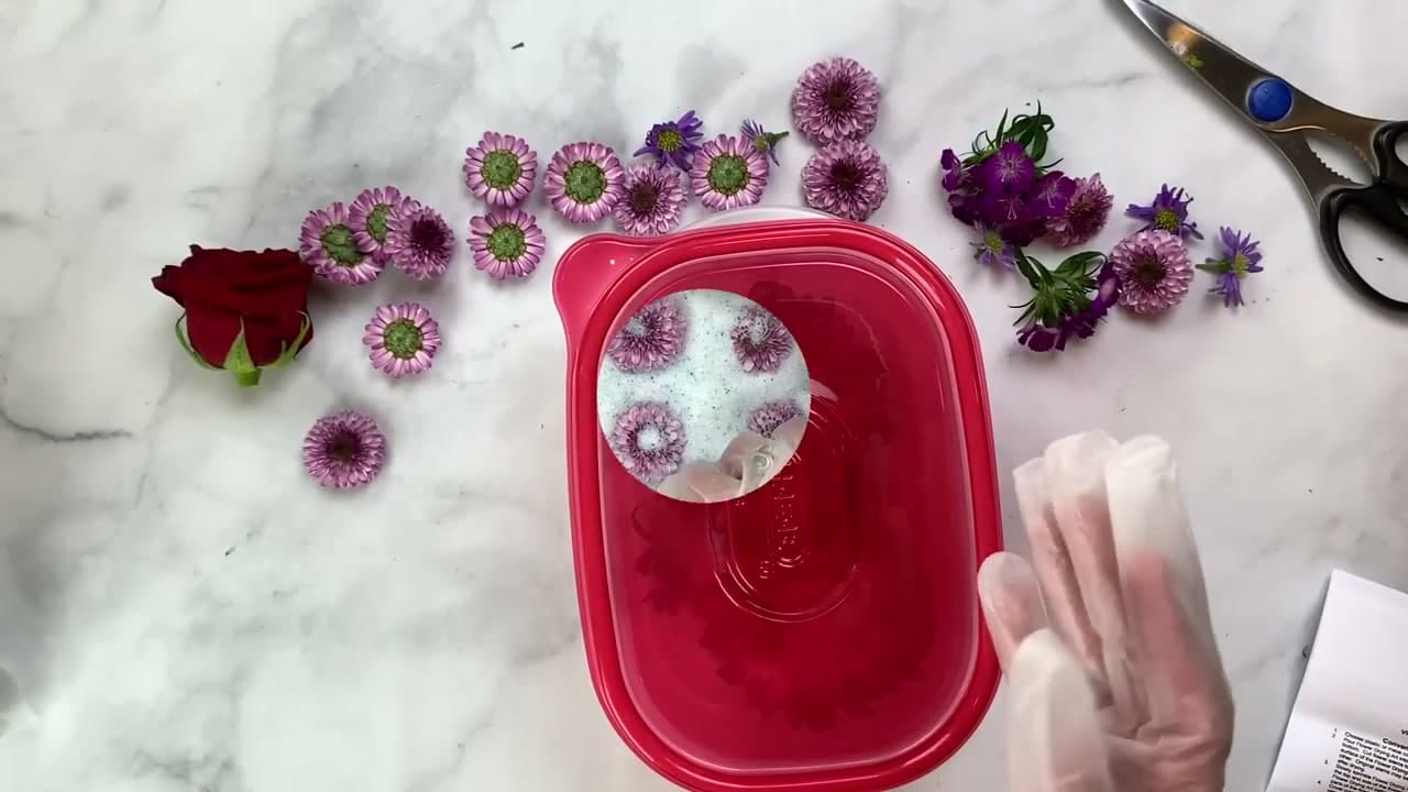 Step 5: Step 5: Silica Gel Method (Best Color and Shape)