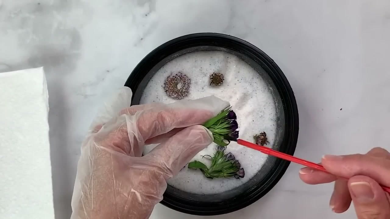 The finished result: How to Dry Flowers - 5 Methods Compared with Results