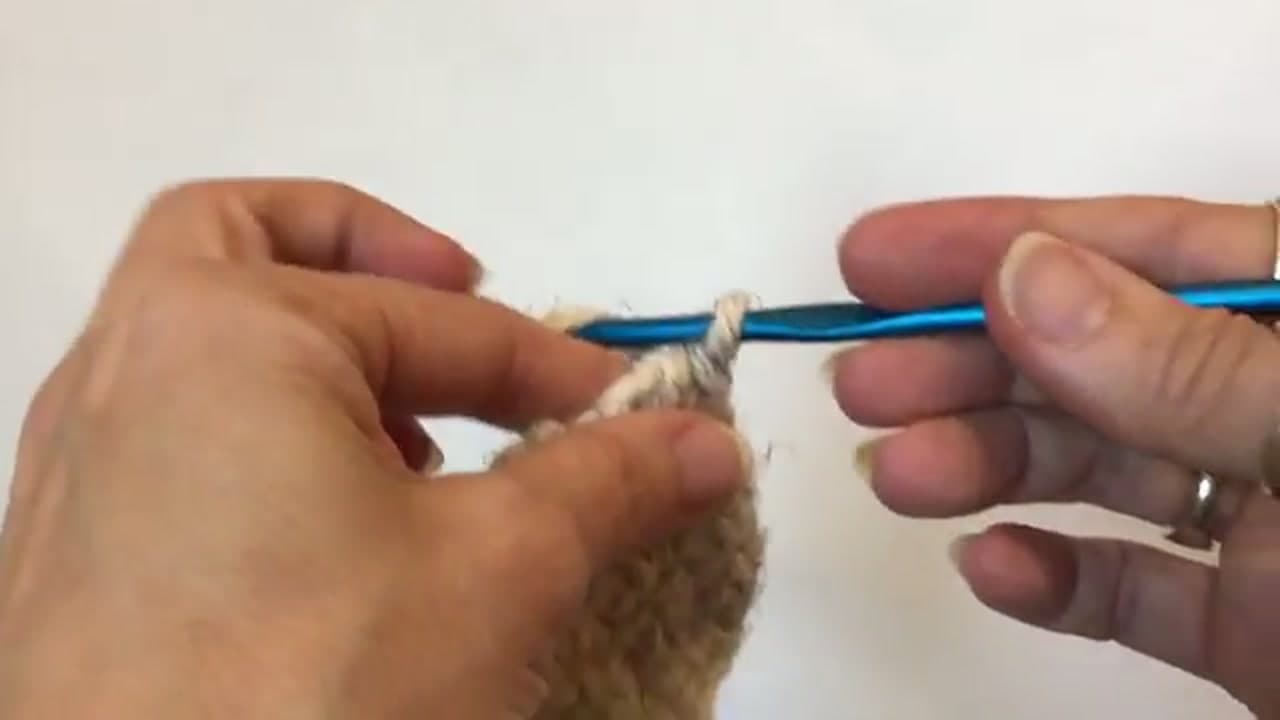 Step 2: Step 2: Yarn Over Your Hook With the Cut Tail