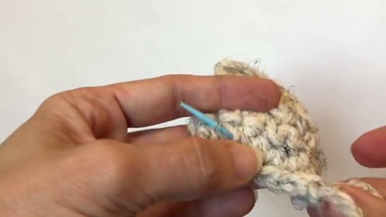 Step 6: Step 6: Weave the Tail In and Trim