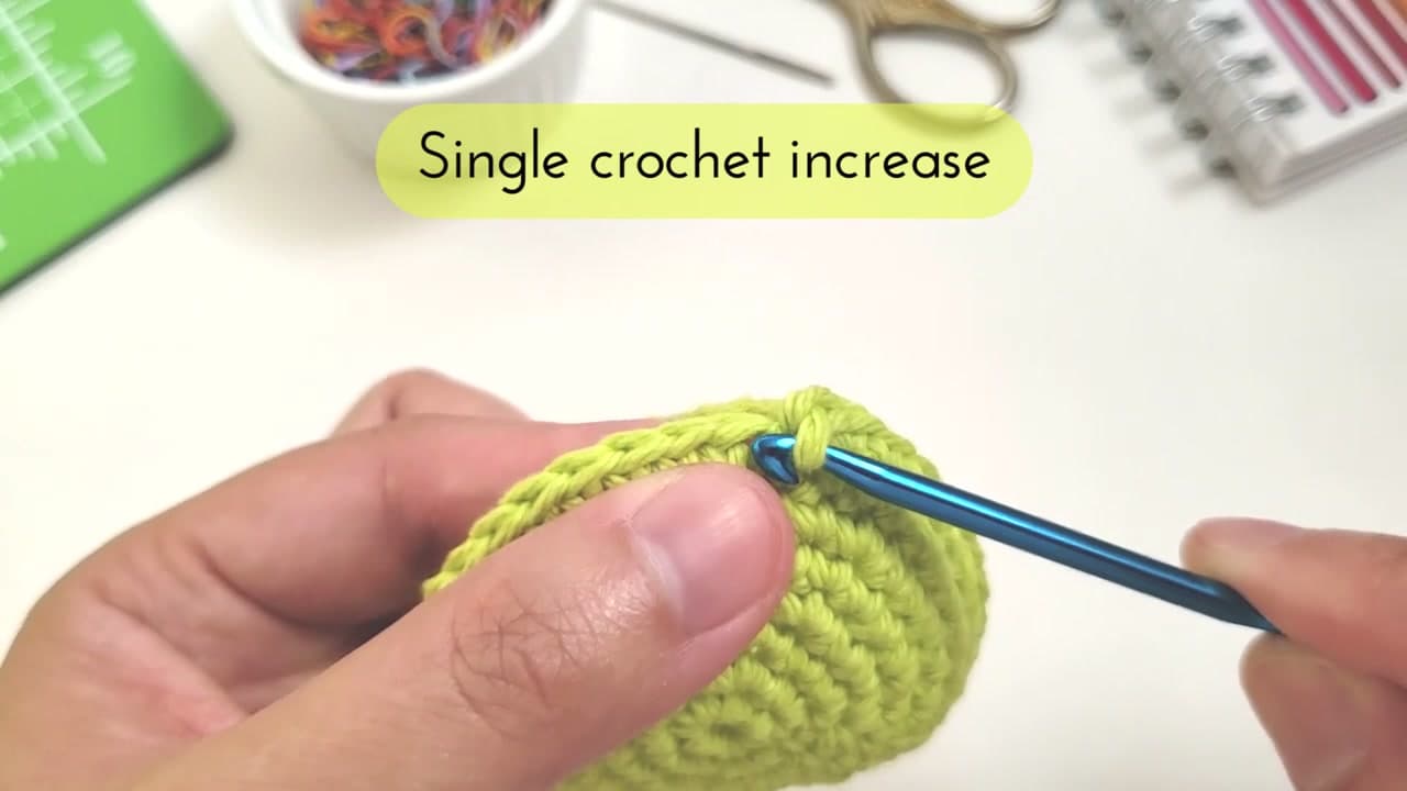 Step 3: Step 3: Insert Your Hook Into the Stitch